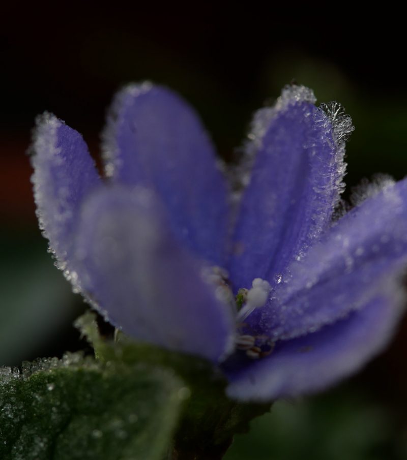 P1080298